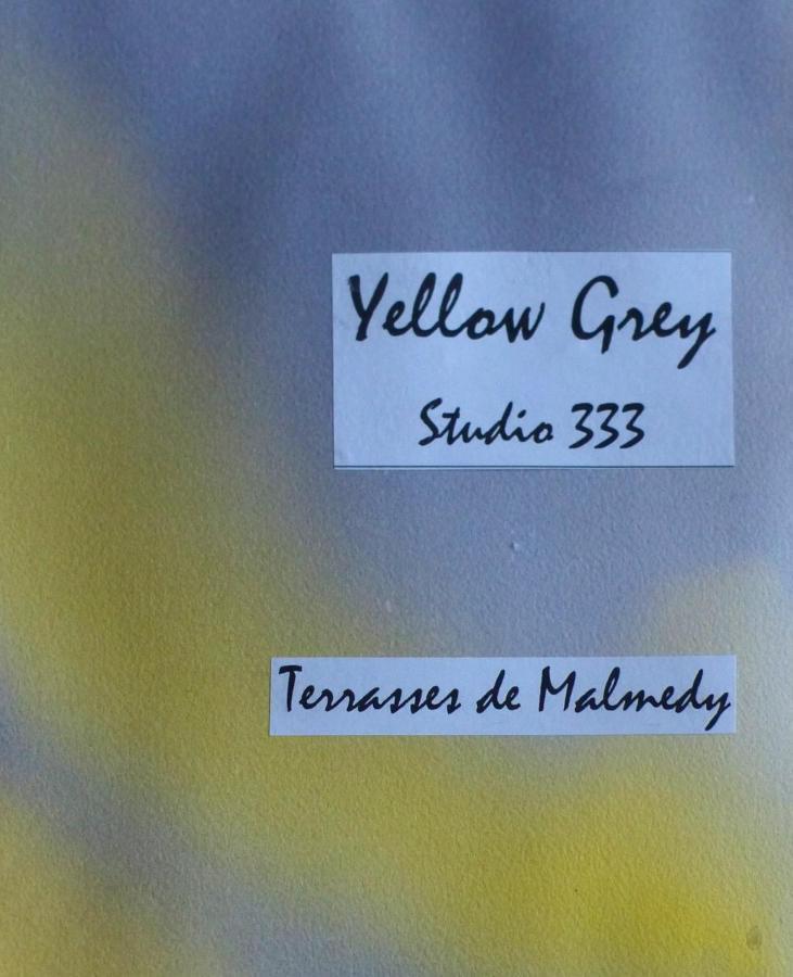 Les Terrasses De Malmedy Studio 333 Yellow Grey Exteriör bild